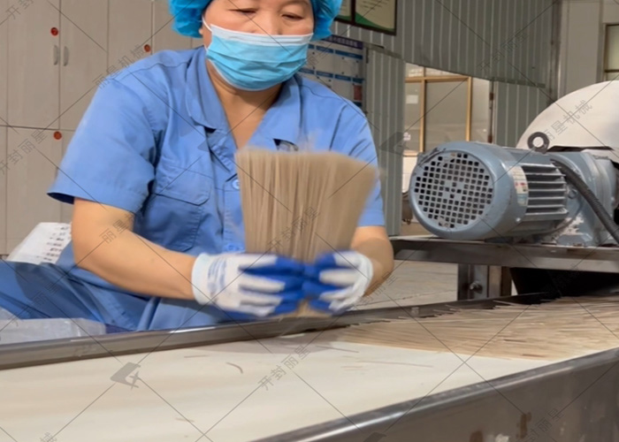 麗星粉條粉絲生產(chǎn)線自由定制，烘干一步到位